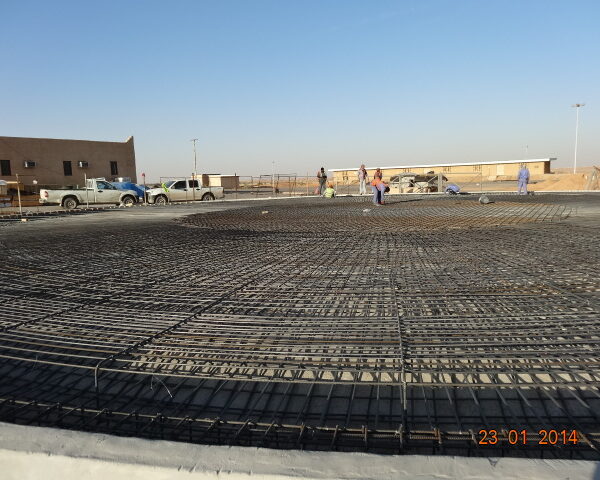 DSC01653 600x480