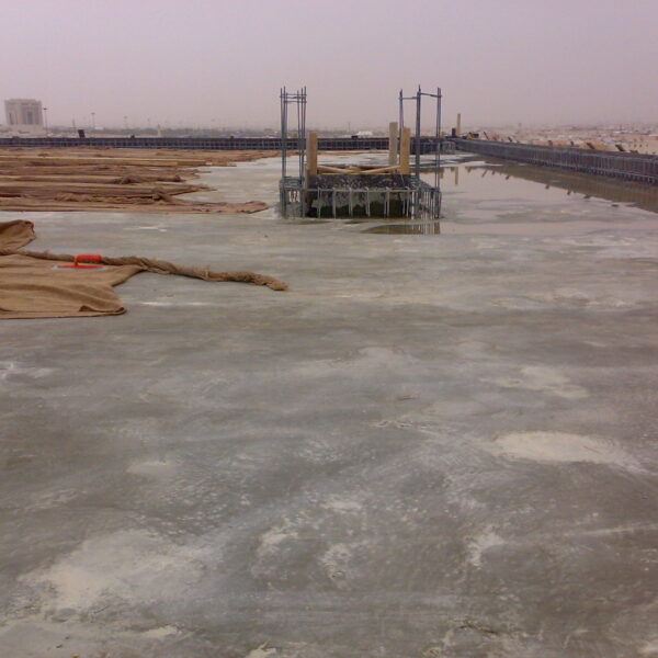 صورة455 600x600